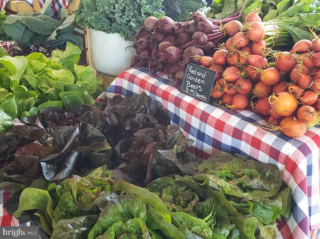 321 North 3rd Street Oakland, MD 21550 - Photo 39 of 48 Mountain Fresh Farmers Market Oakland