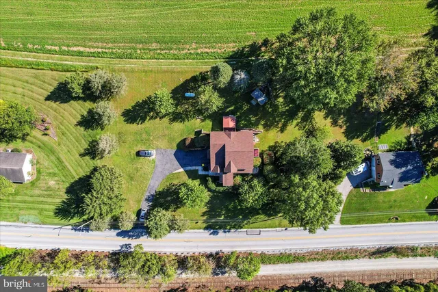 a picture of a yard with plants and large tree