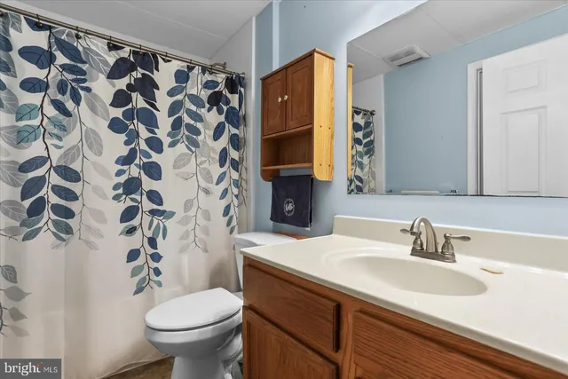 a view of a park with large trees