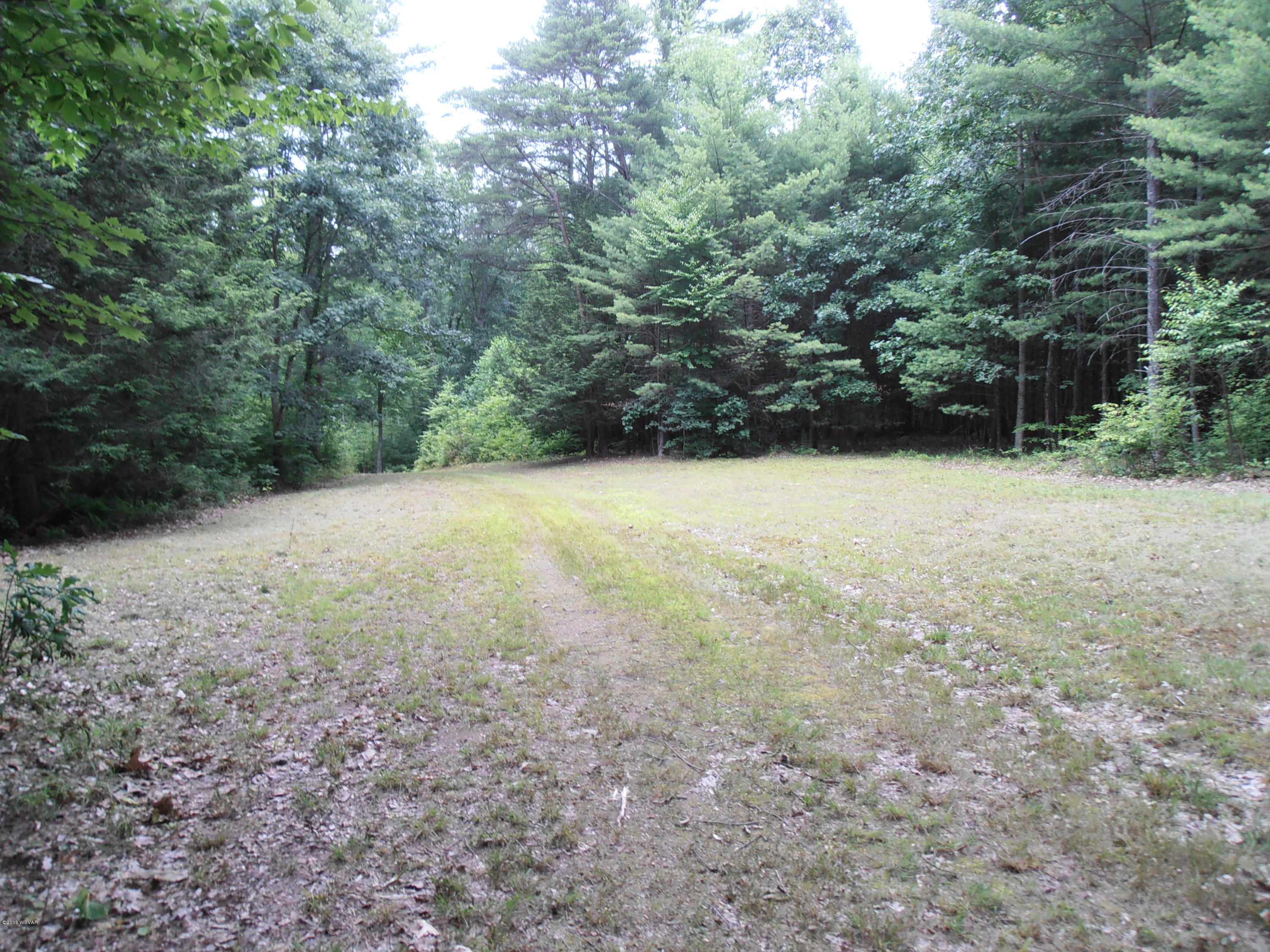 504 Furnace Run Road Jersey Shore, PA 17740 - Photo 9 of 36 P7200028