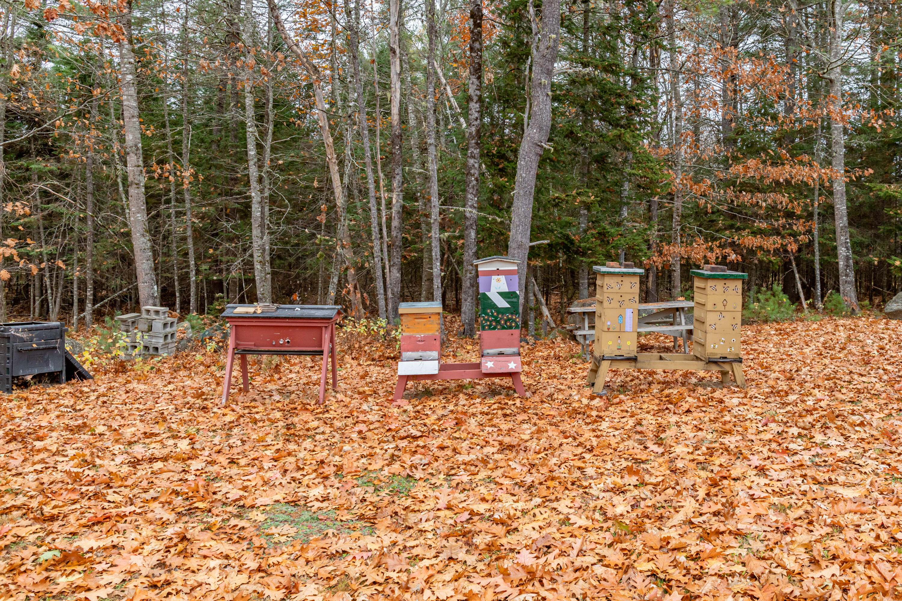 41 Merle Sibley Road Burlington, ME 04417 - Photo 27 of 87 41 Sibley Road Exteriors-20