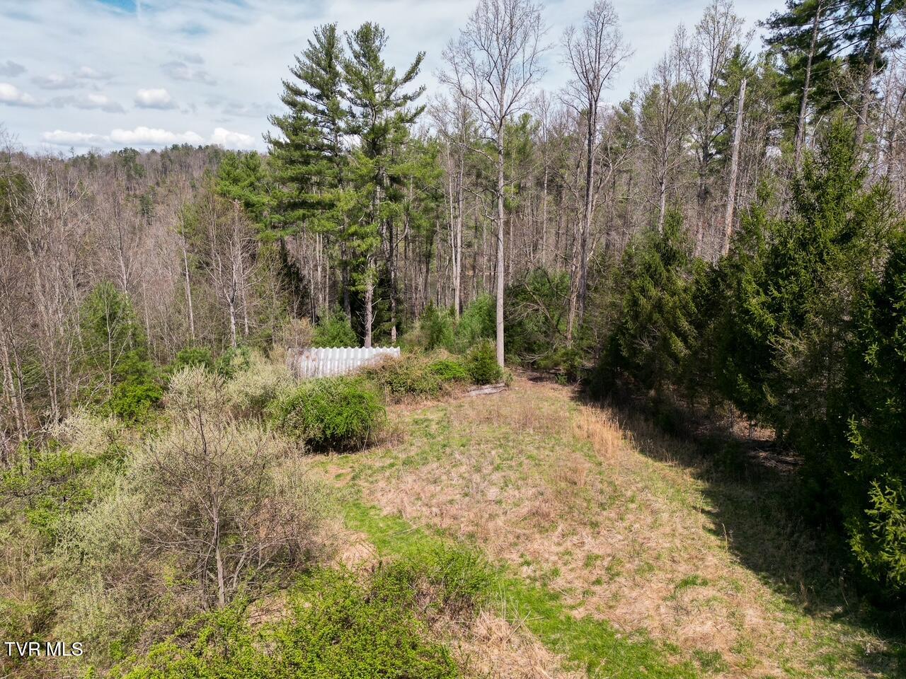 Tbd Norris Road Butler, TN 37640 - Photo 11 of 12 DJI_0704