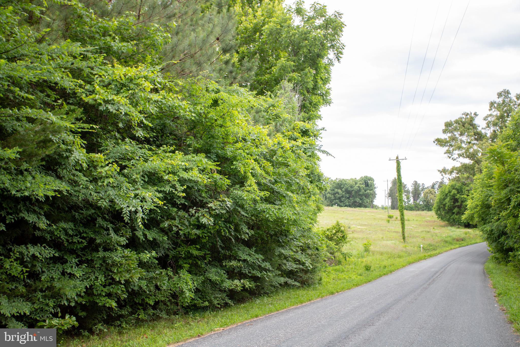Tbd Old Well Road, Unit LOT 8 Phenix, VA 23959 - Photo 7 of 9