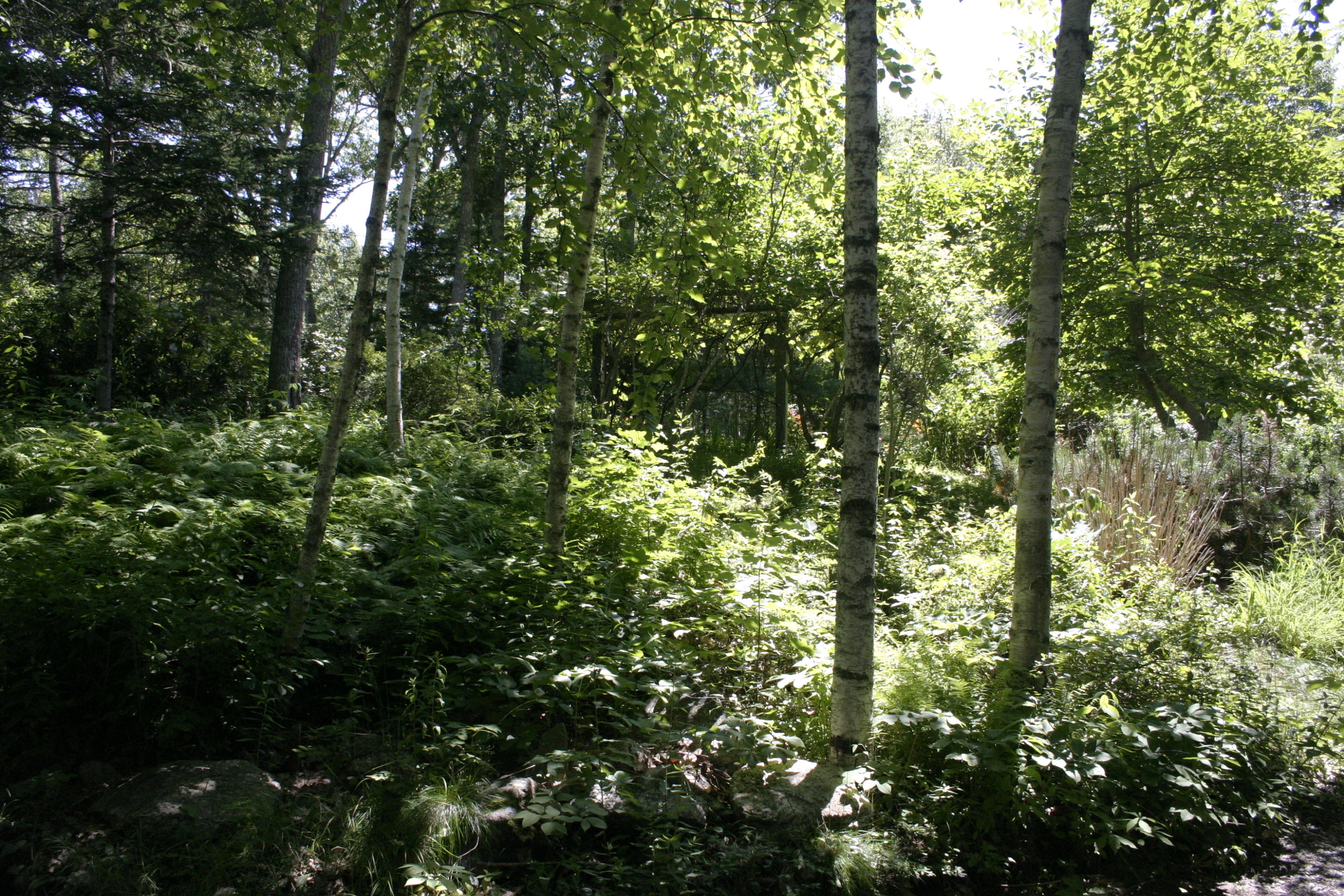 36 Granite Hill Road Pemaquid, ME 04558 - Photo 131 of 134 IMG_0480