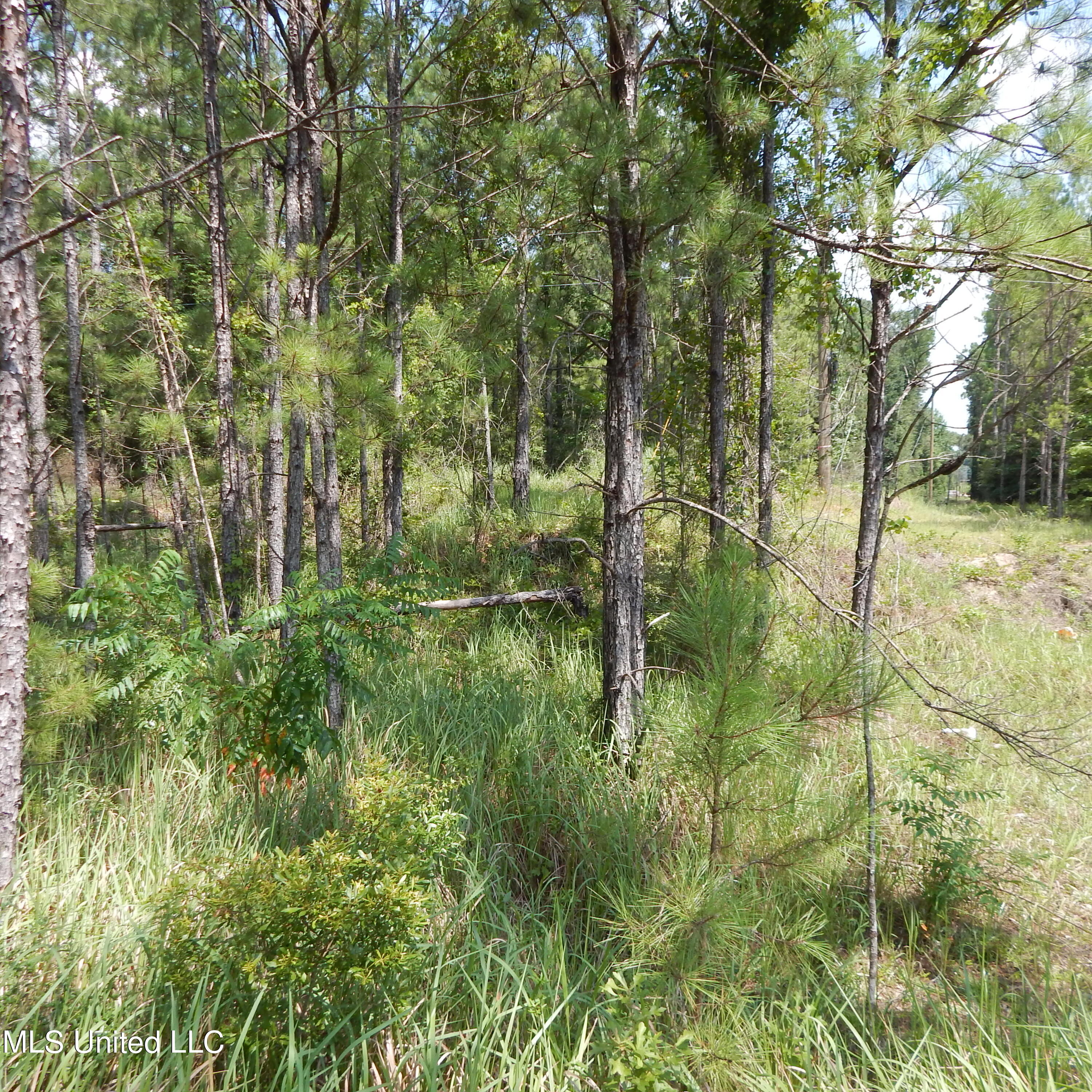 Central Firetower Road Lucedale, MS 39452 - Photo 1 of 4 DSCN1407