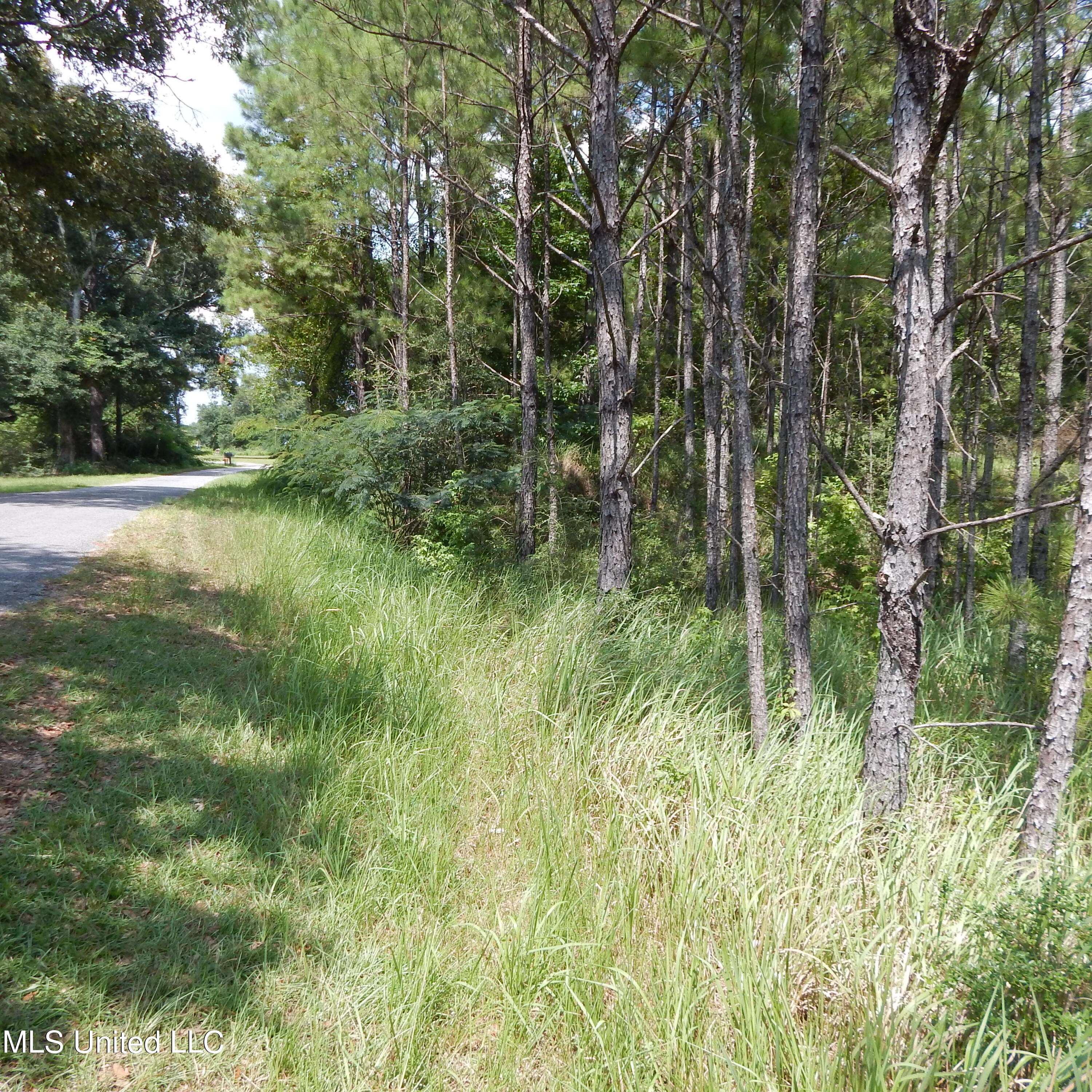 Central Firetower Road Lucedale, MS 39452 - Photo 2 of 4 DSCN1408