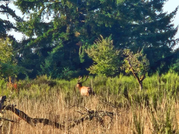 $3,999,900 | 11890 Dupee Valley Road, Sheridan, OR 97378