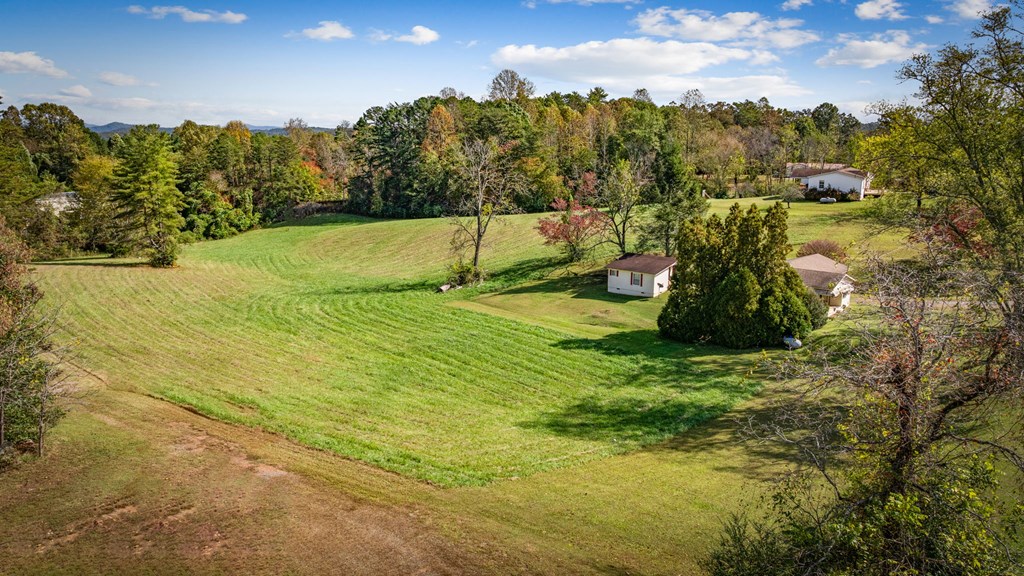 121 Orchard Boulevard Blue Ridge, GA 30513 - Photo 2 of 47 Gallery Image 2
