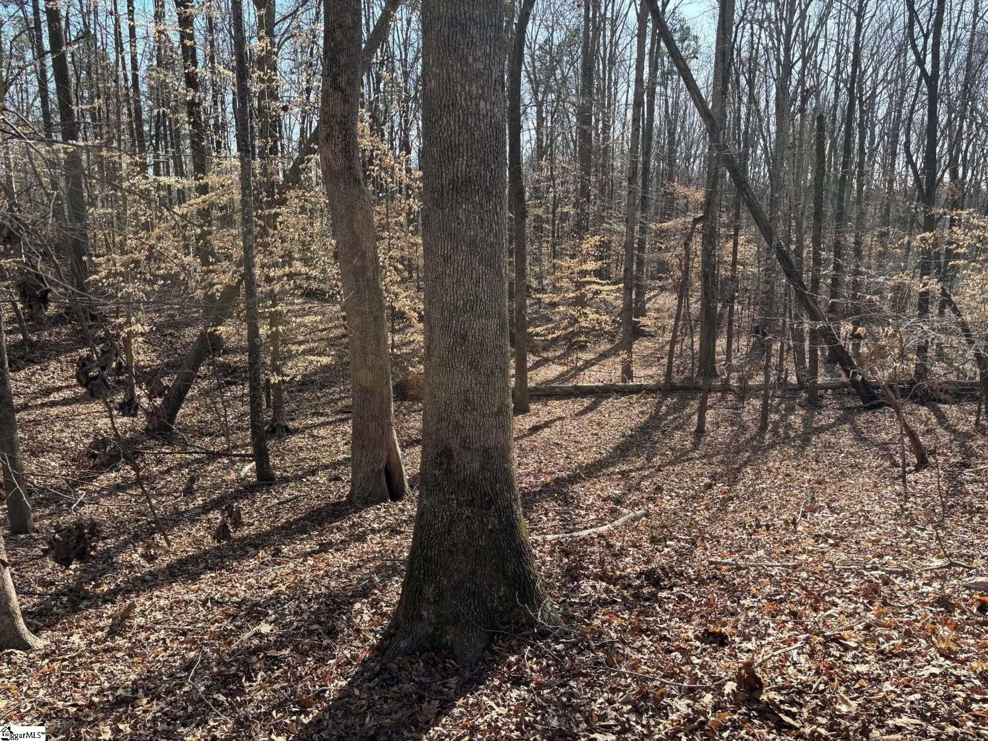 672 Boxwood Road Laurens, SC 29360 - Photo 12 of 45