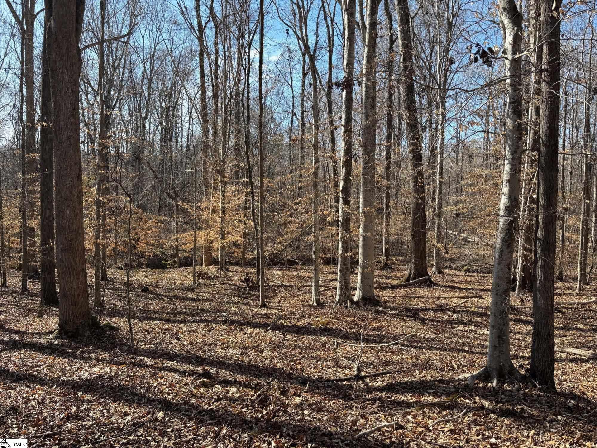 672 Boxwood Road Laurens, SC 29360 - Photo 15 of 45