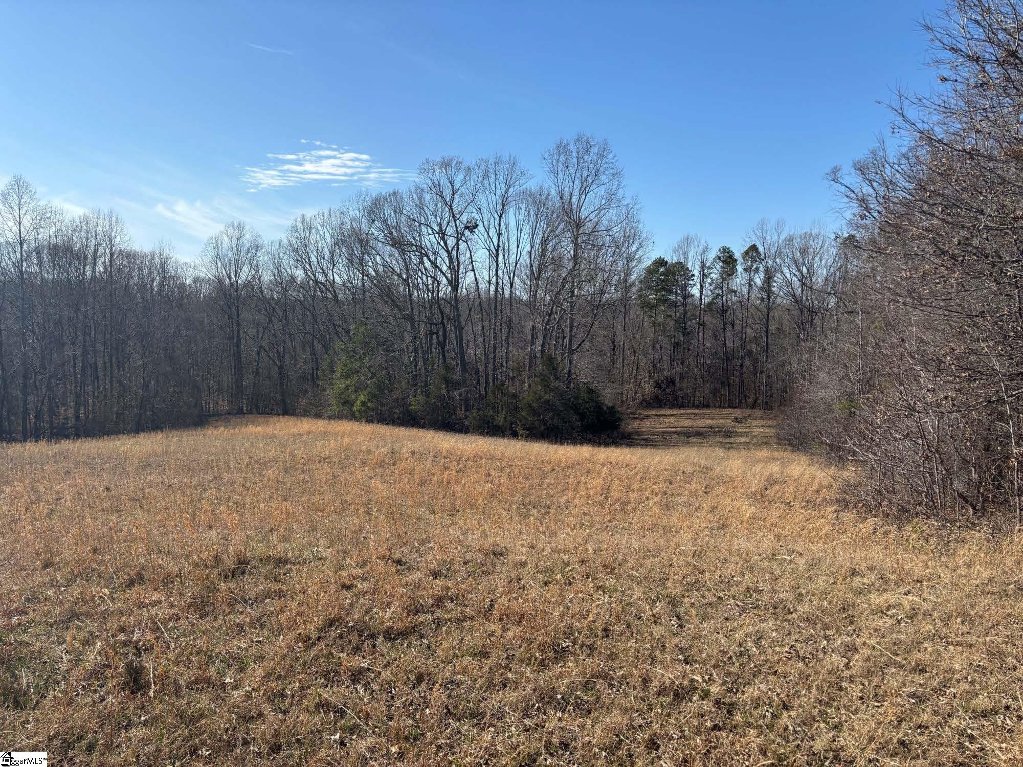 672 Boxwood Road Laurens, SC 29360 - Photo 17 of 45