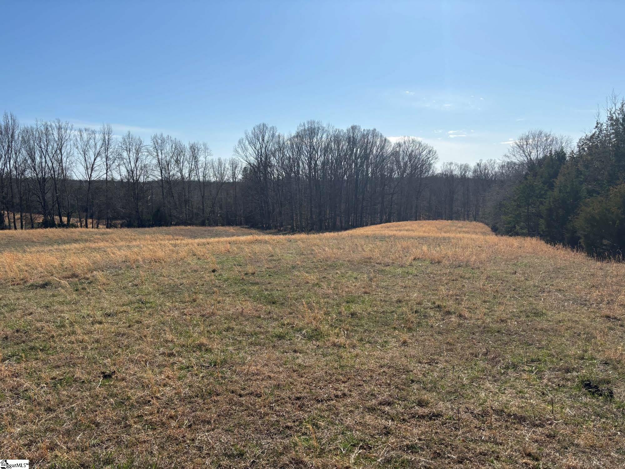 672 Boxwood Road Laurens, SC 29360 - Photo 18 of 45