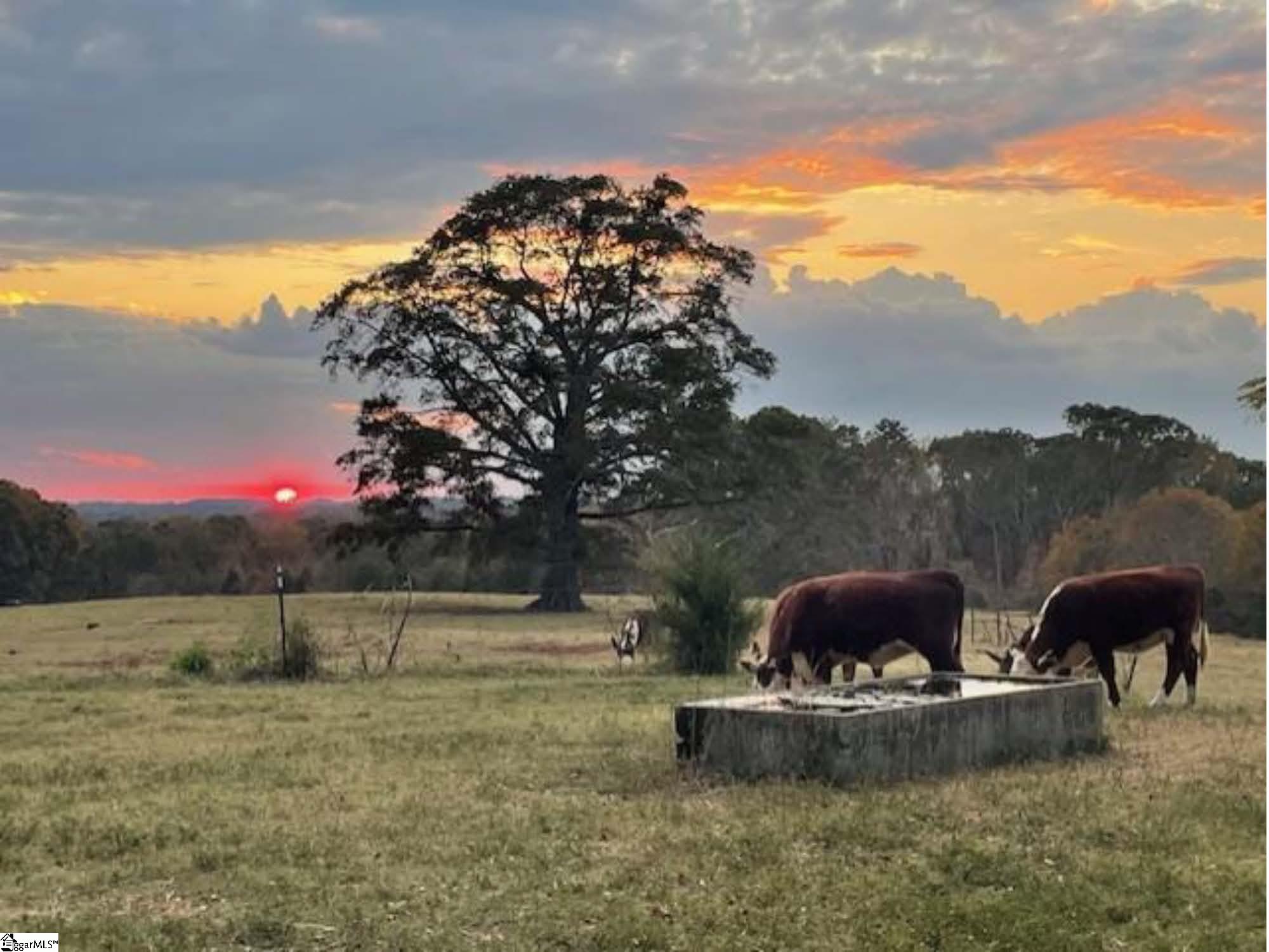 672 Boxwood Road Laurens, SC 29360 - Photo 7 of 45