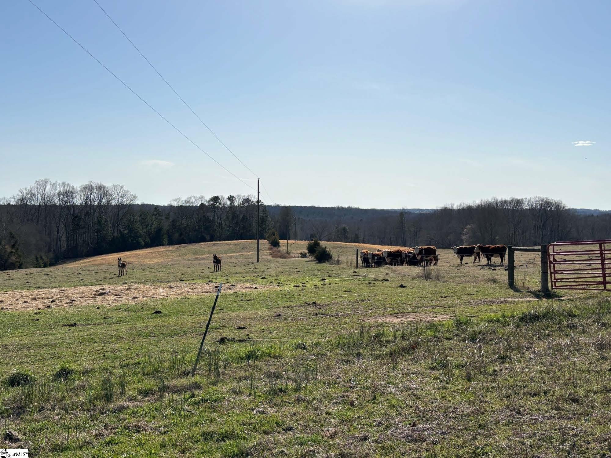 672 Boxwood Road Laurens, SC 29360 - Photo 8 of 45