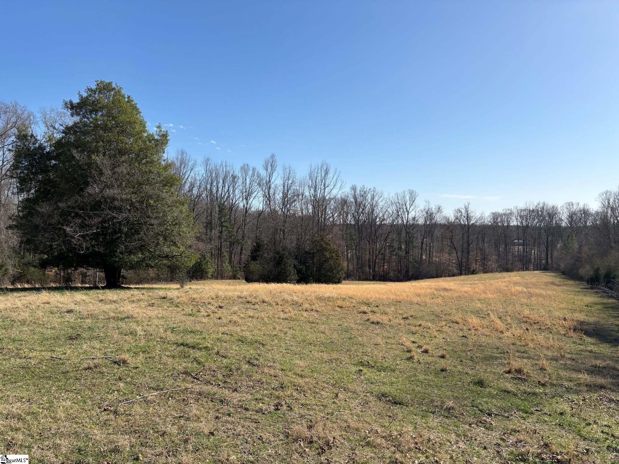 672 Boxwood Road Laurens, SC 29360 - Photo 9 of 45