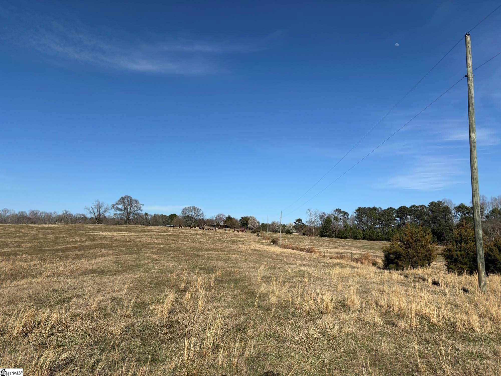 672 Boxwood Road Laurens, SC 29360 - Photo 10 of 45
