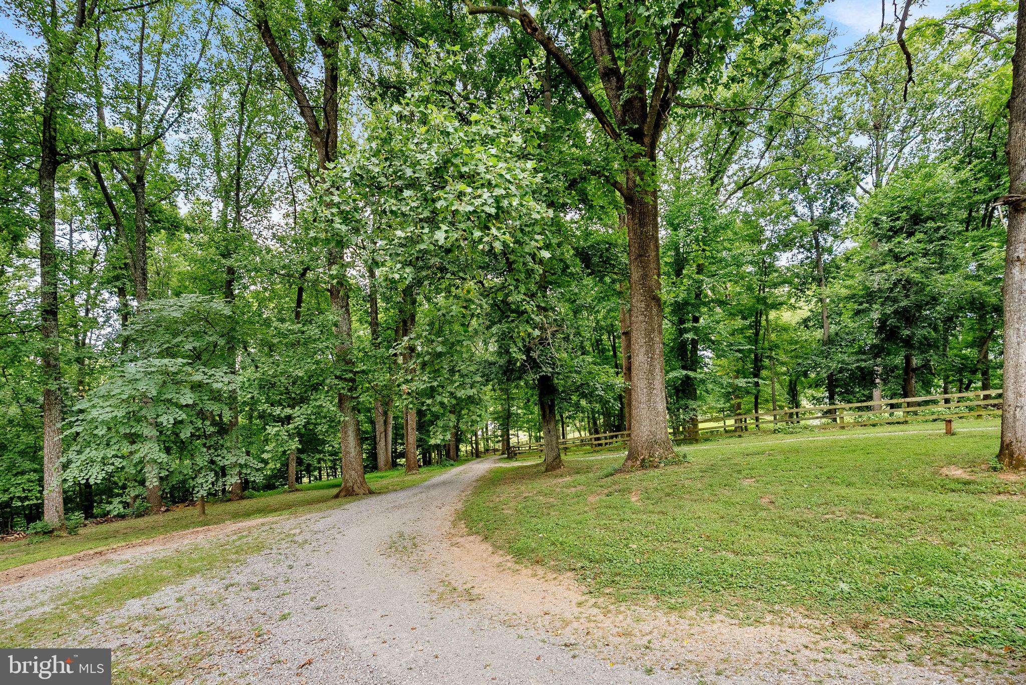 1263 Frogtown Road Bluemont, VA 20135 - Photo 60 of 72
