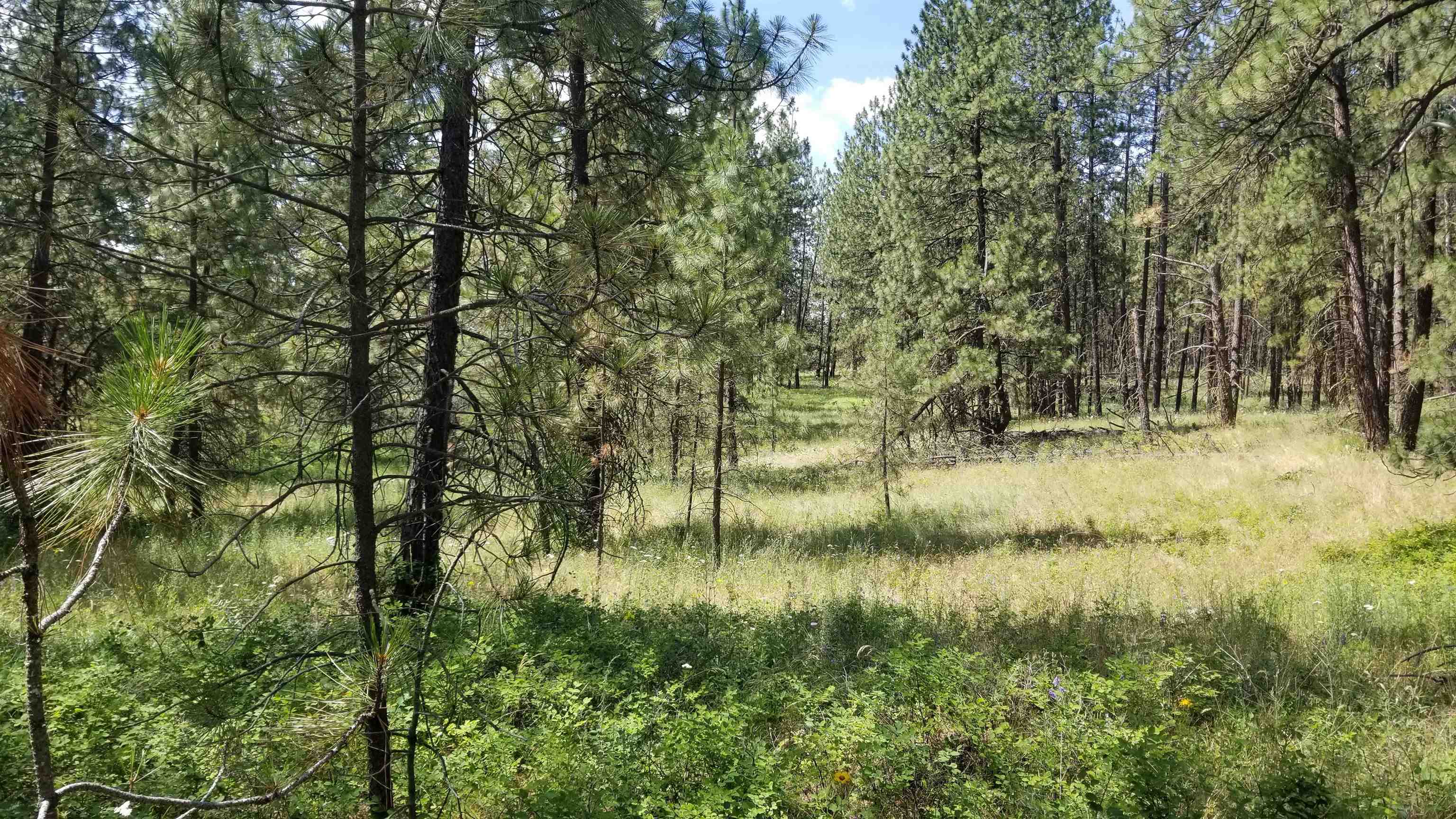Lot 1 Glen Grove-Staley Road Deer Park, WA 99006 - Photo 1 of 9 Gallery Image 1