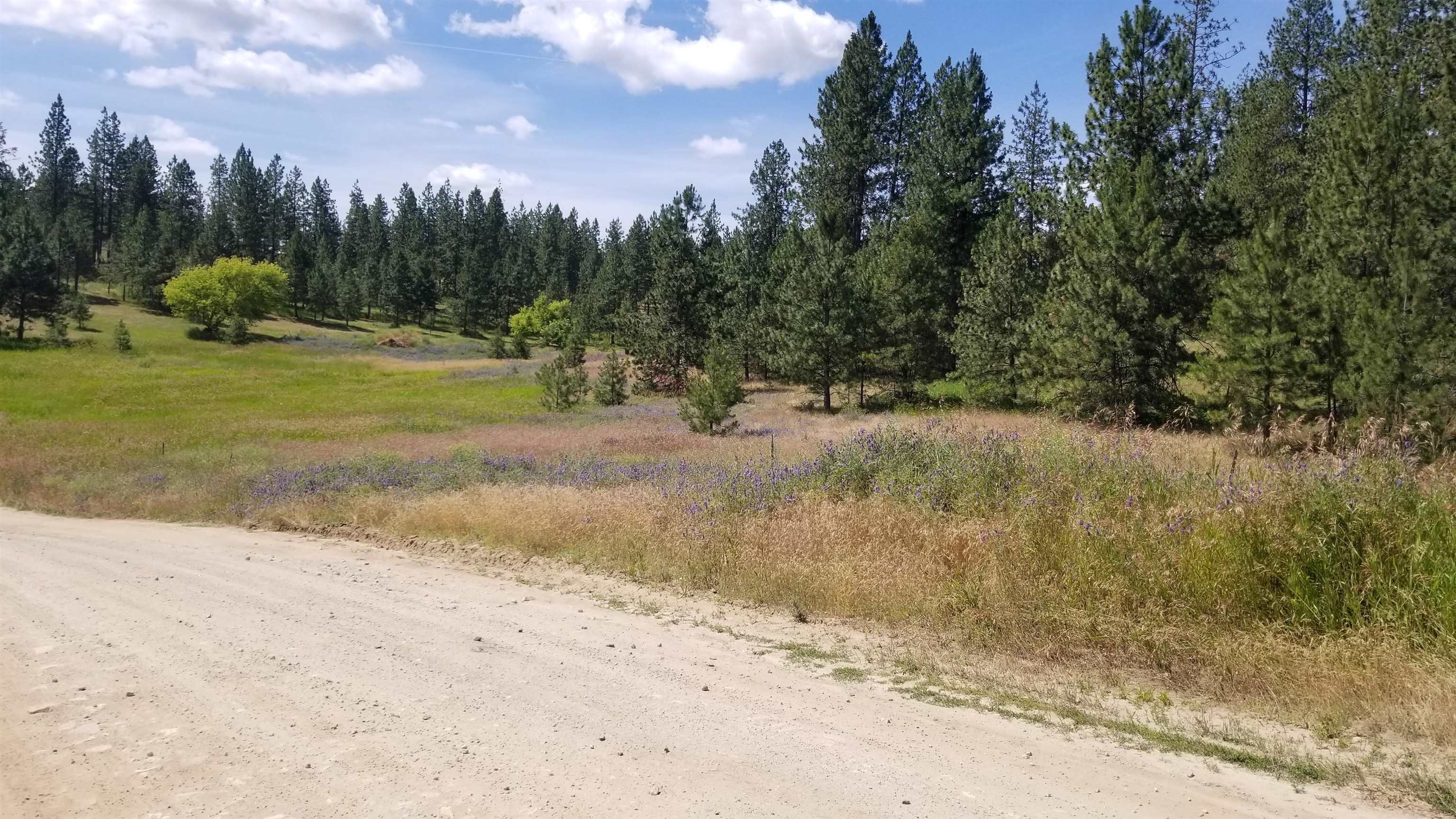 Lot 1 Glen Grove-Staley Road Deer Park, WA 99006 - Photo 3 of 9 Gallery Image 3