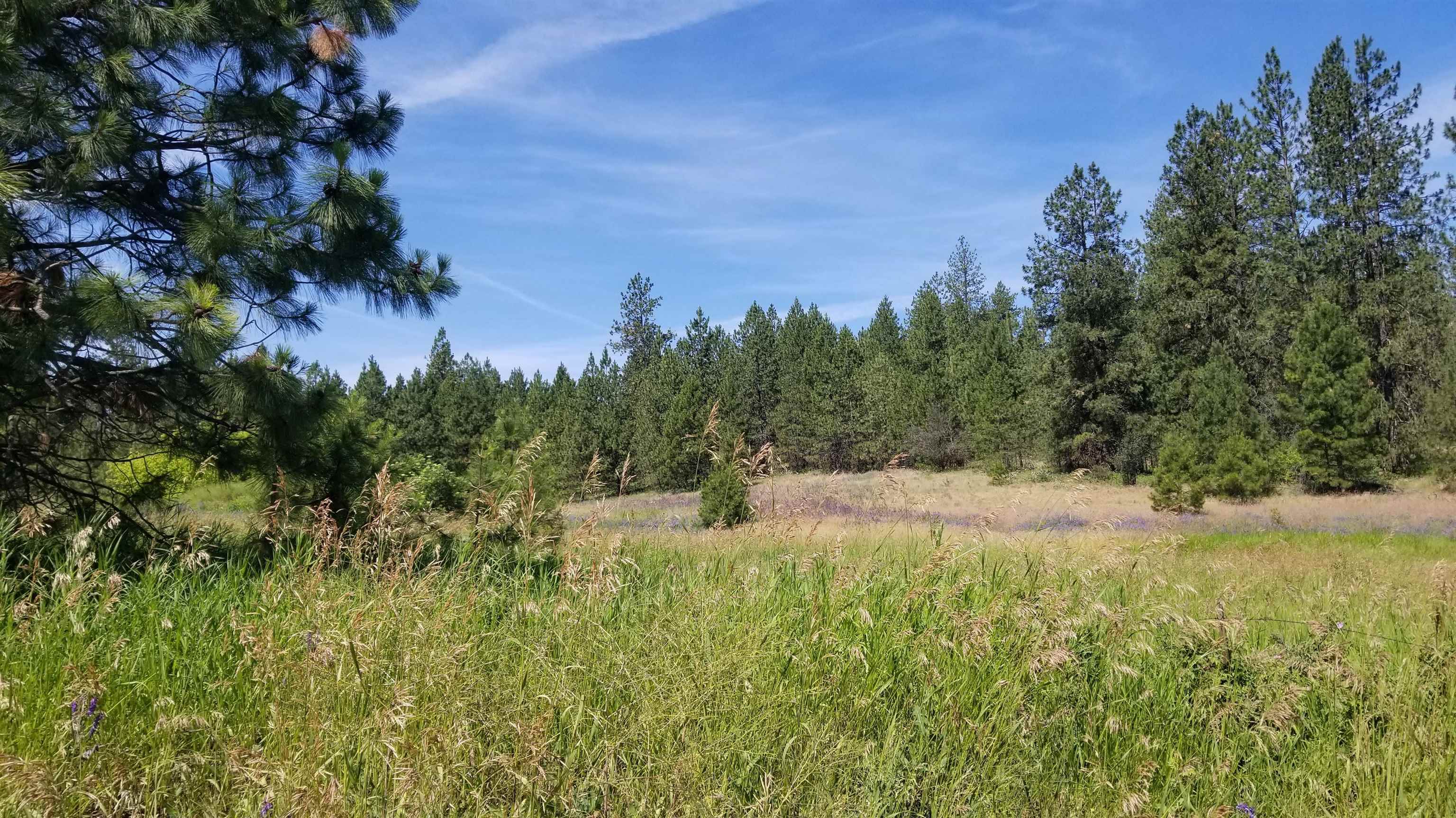 Lot 1 Glen Grove-Staley Road Deer Park, WA 99006 - Photo 7 of 9 Gallery Image 7