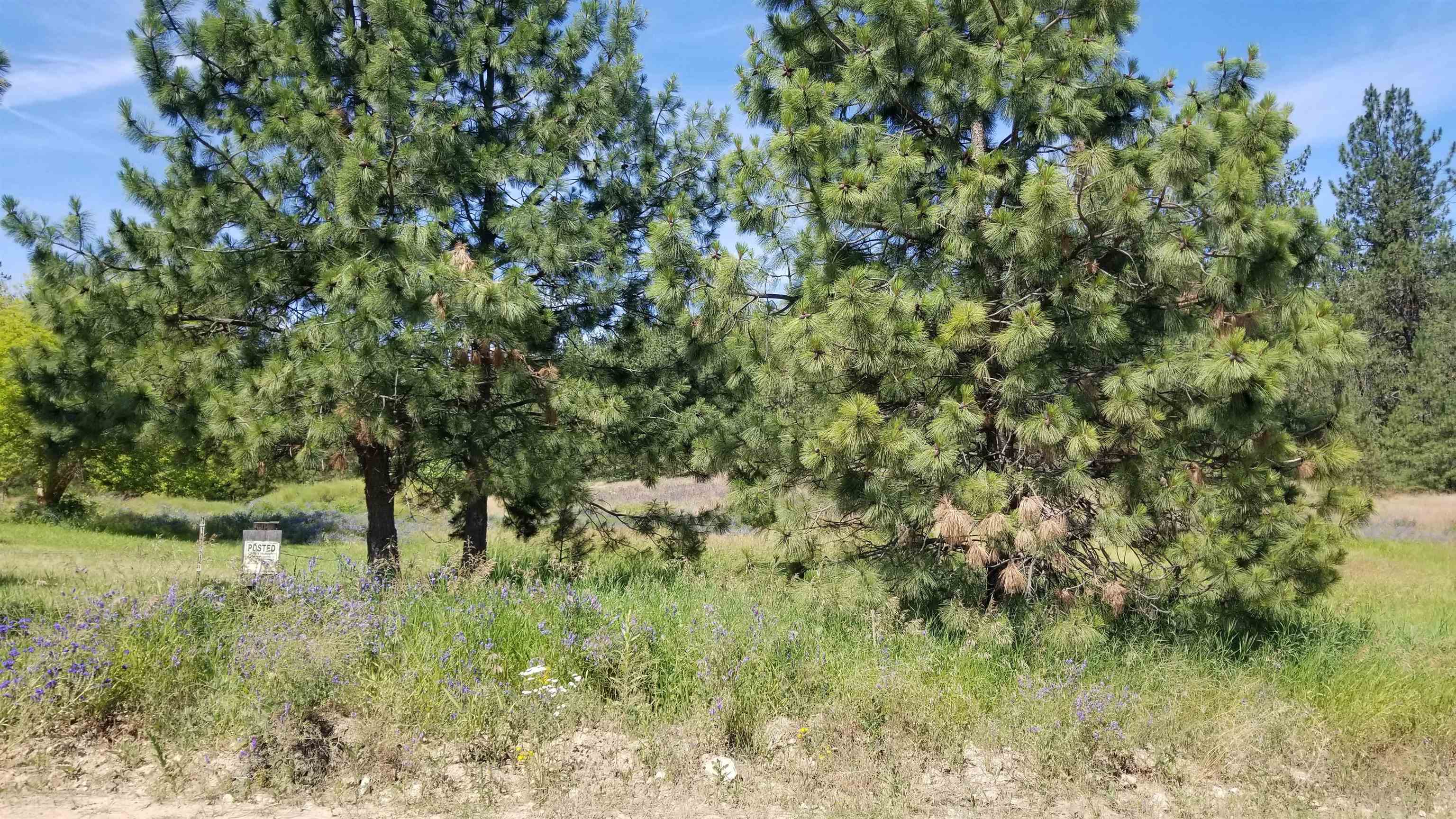 Lot 1 Glen Grove-Staley Road Deer Park, WA 99006 - Photo 8 of 9 Gallery Image 8