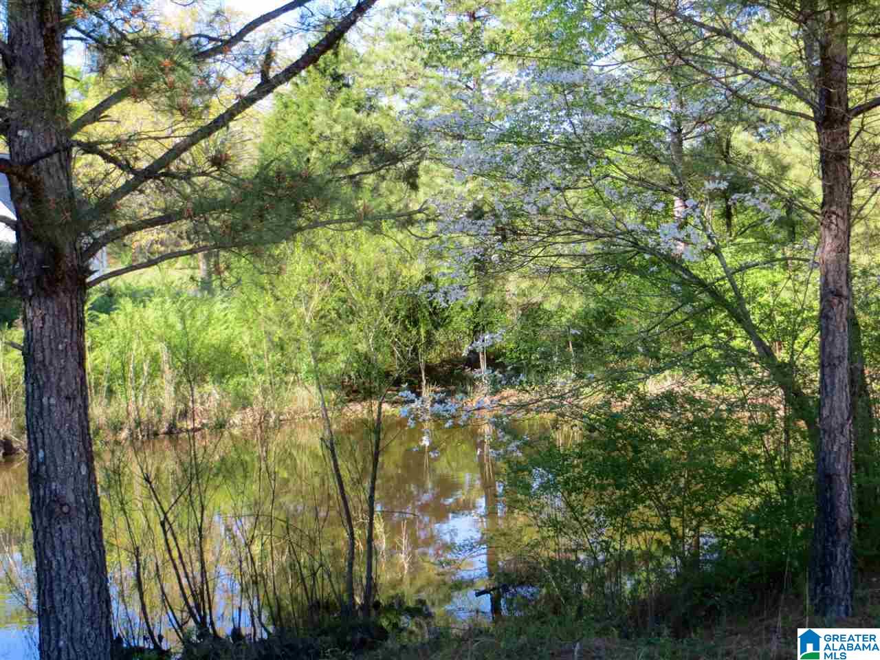 0 Eureka Road, Unit 7 Lincoln, AL 35096 - Photo 12 of 34
