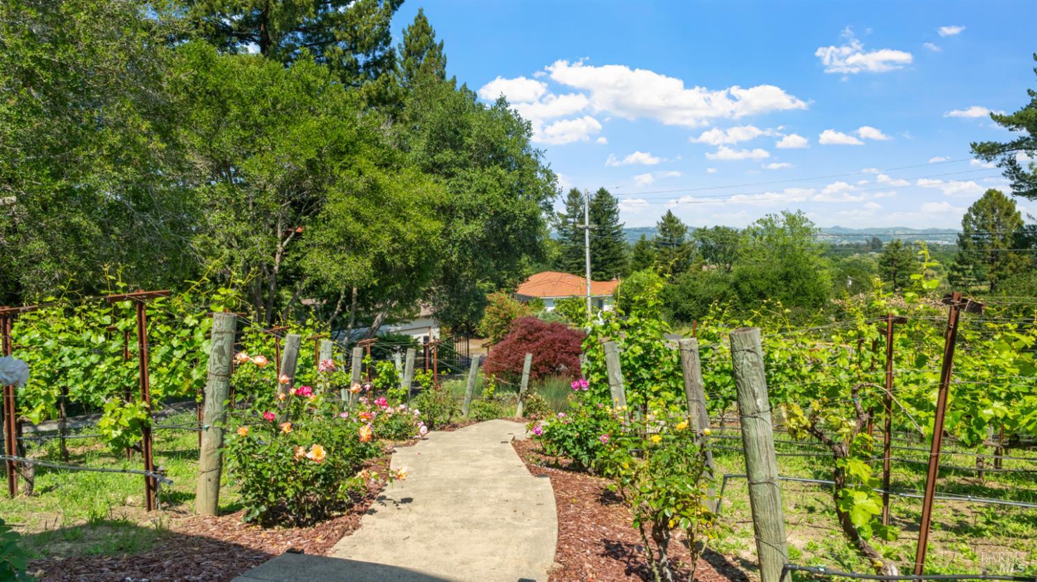 2593 Athena Court Santa Rosa, CA 95401 - Photo 39 of 59