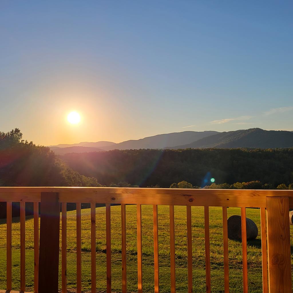 880 Johnny's Ridge Road Ferrum, VA 24088 - Photo 28 of 47 Gallery Image 28