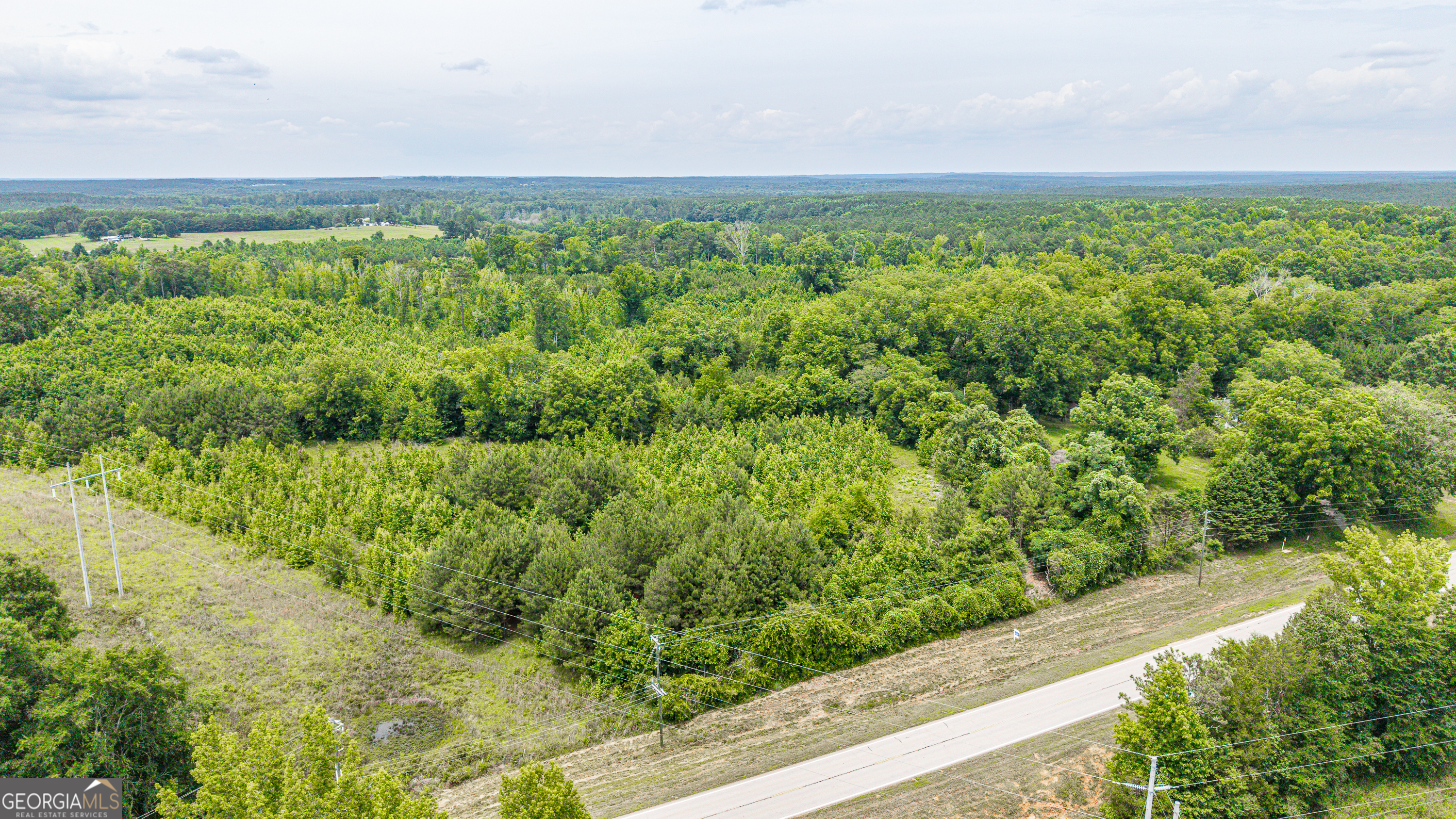 0 Washington Highway Union Point, GA 30669 - Photo 14 of 22