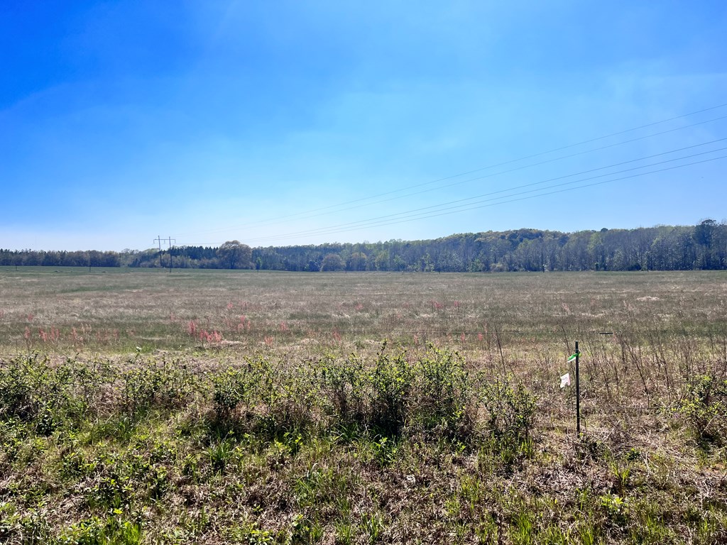 0 Co Road Headland, AL 36345 - Photo 5 of 6