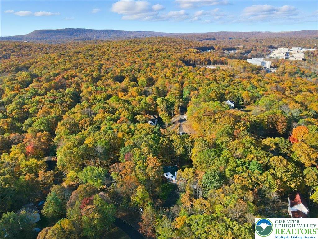 349 Bumble Bee Pass Cresco, PA 18326 - Photo 84 of 92