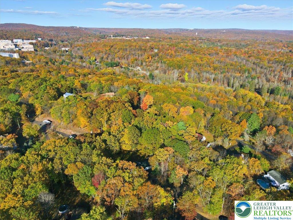 349 Bumble Bee Pass Cresco, PA 18326 - Photo 85 of 92