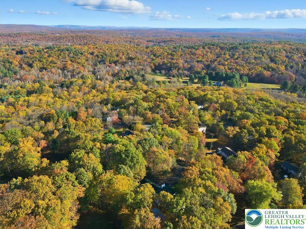 349 Bumble Bee Pass Cresco, PA 18326 - Photo 86 of 92