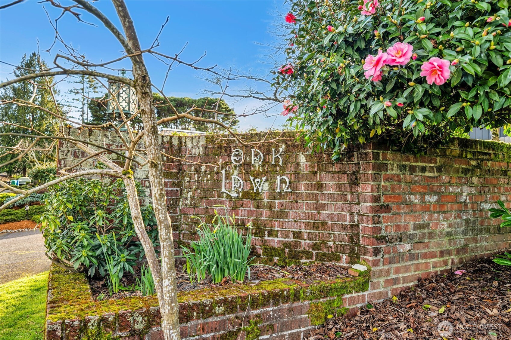 6437 Hampton Road South Seattle, WA 98118 - Photo 33 of 39 a flower garden view