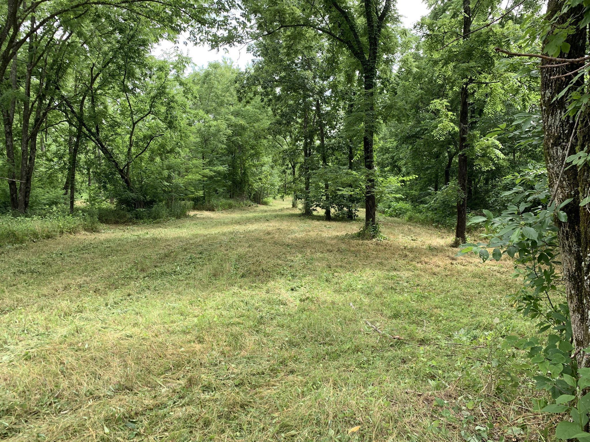 0 Laurel Hill Road Silver Point, TN 38582 - Photo 3 of 11