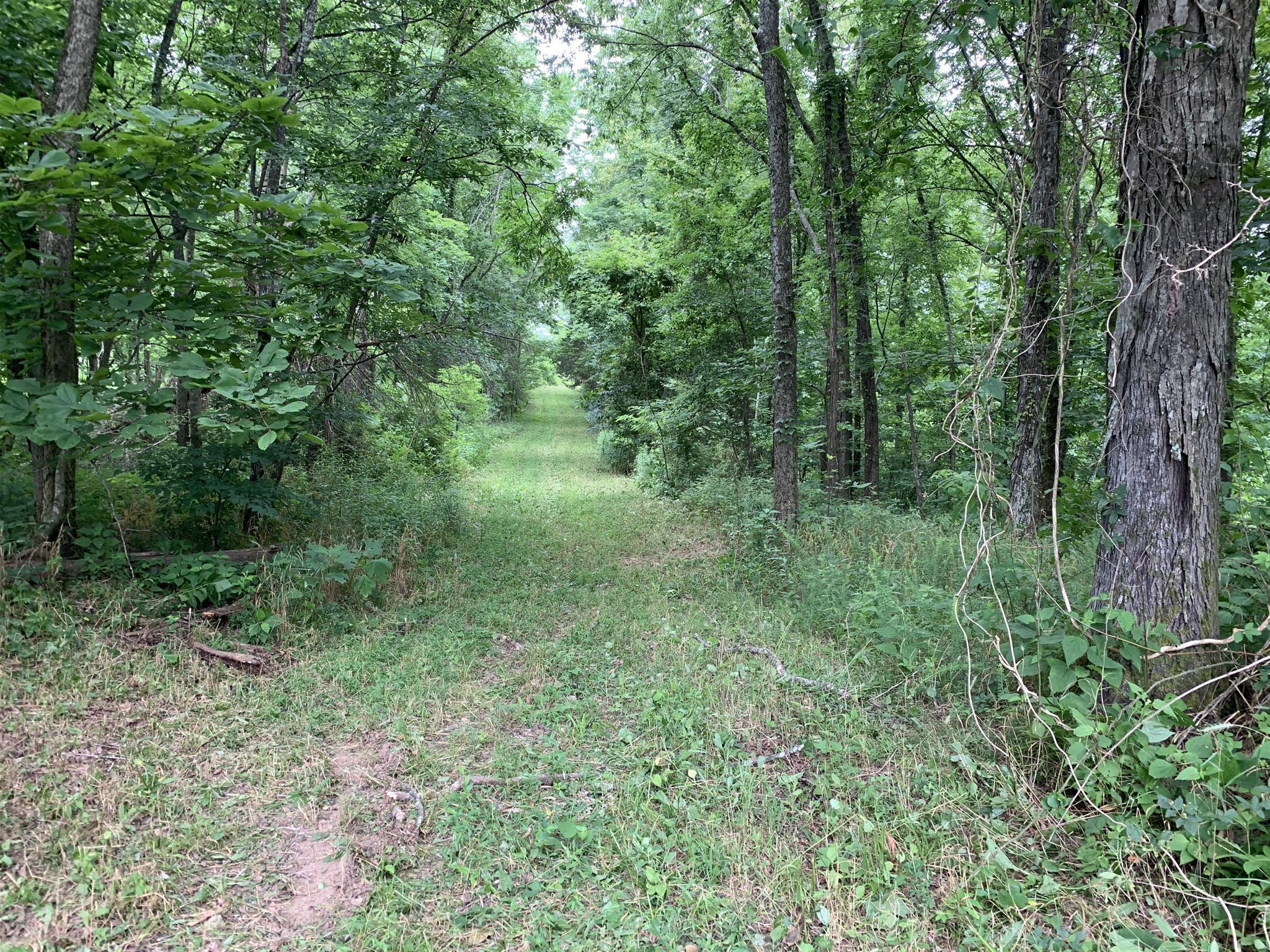 0 Laurel Hill Road Silver Point, TN 38582 - Photo 4 of 11