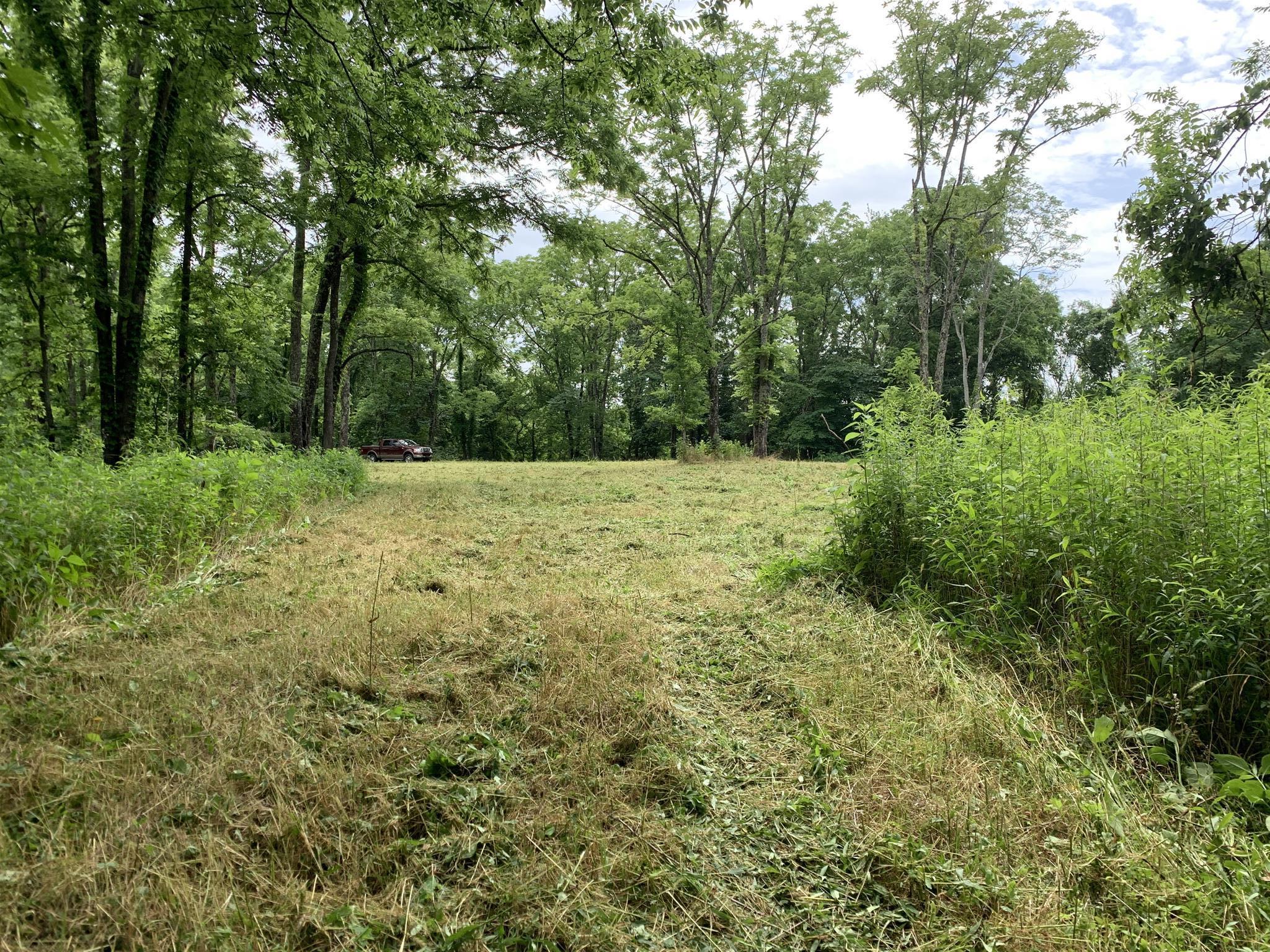 0 Laurel Hill Road Silver Point, TN 38582 - Photo 7 of 11