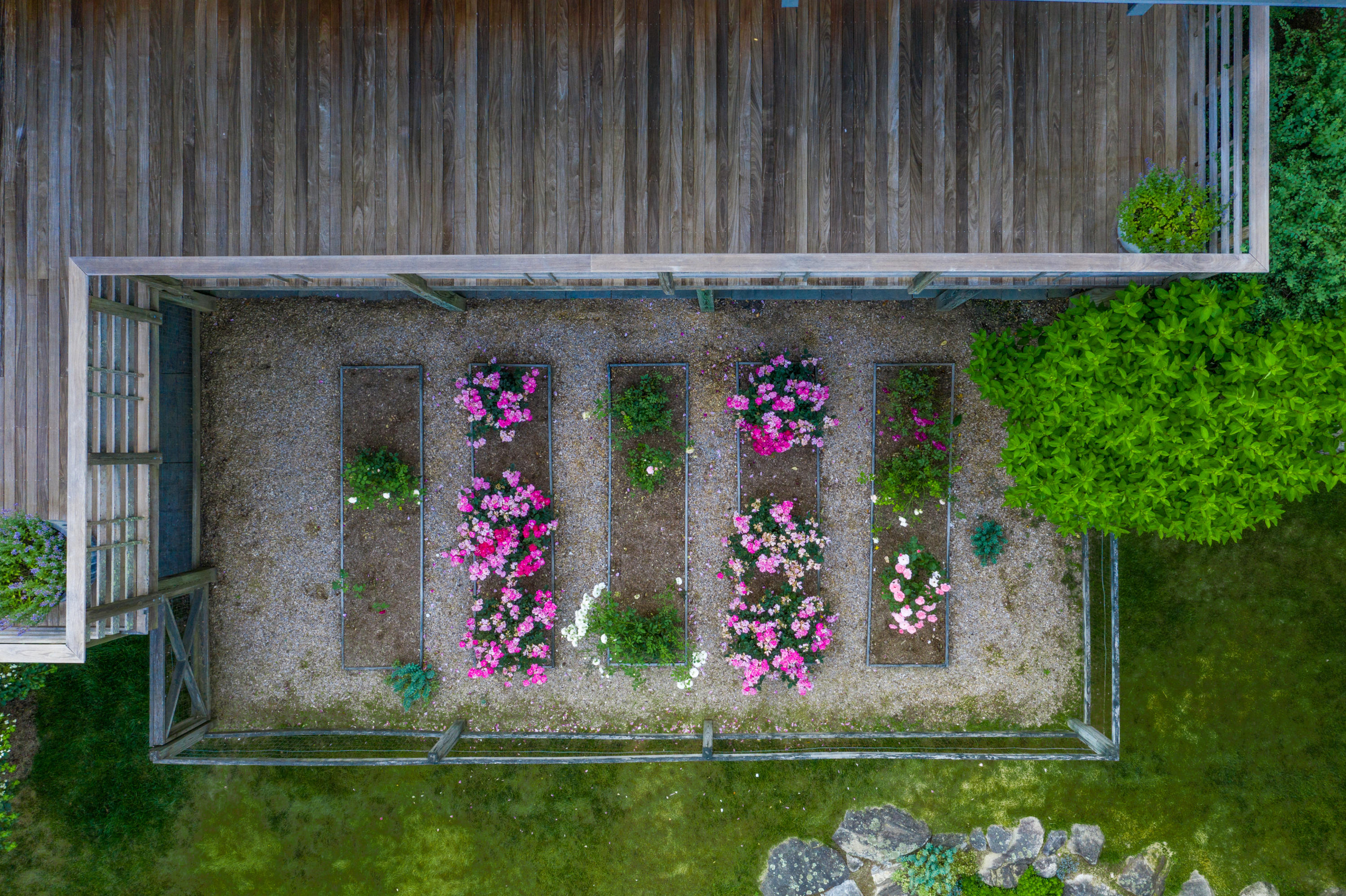Undisclosed Address Wilton, CT 06897 - Photo 21 of 25 a small garden covered with tall trees