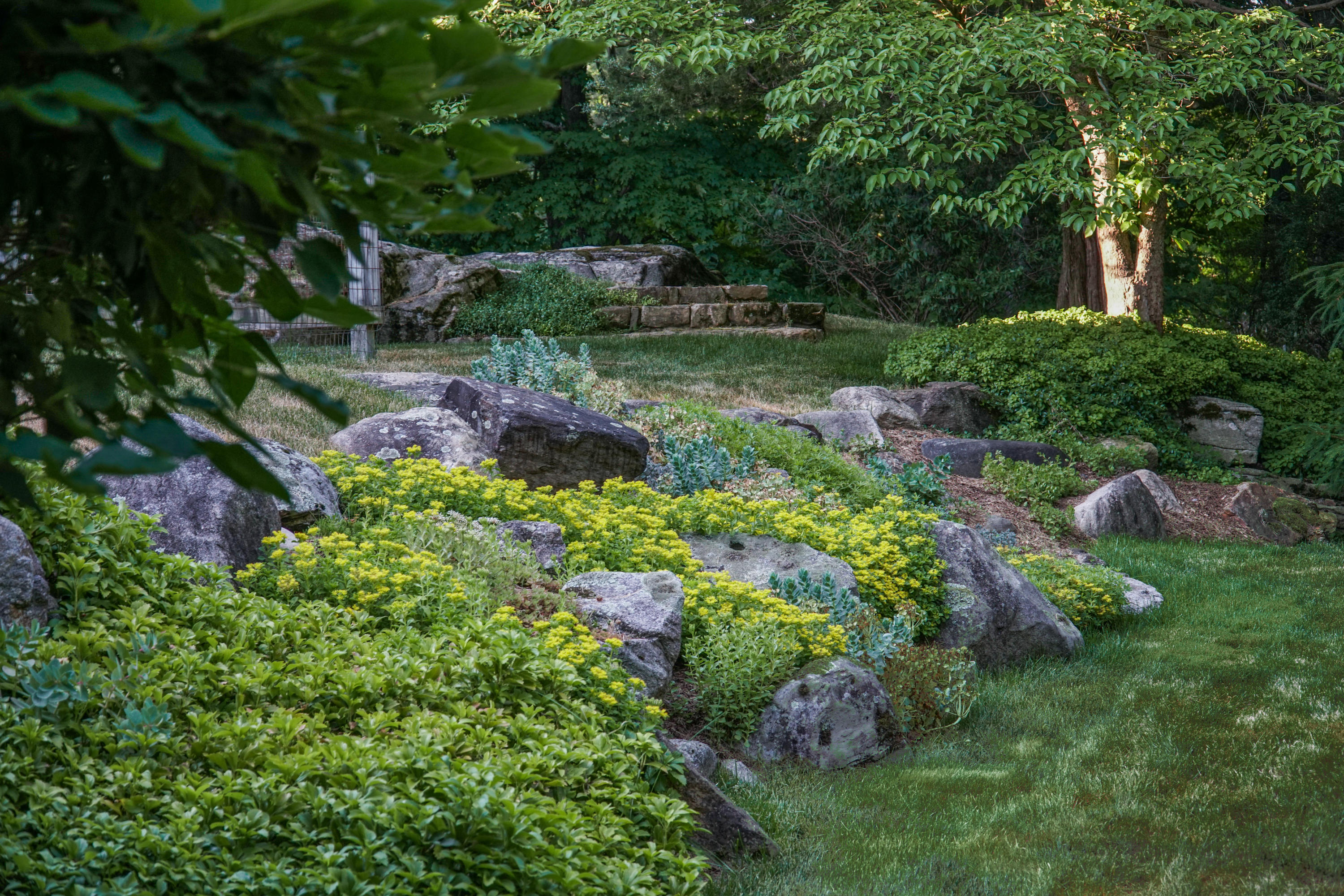 Undisclosed Address Wilton, CT 06897 - Photo 22 of 25 a view of a garden with large trees