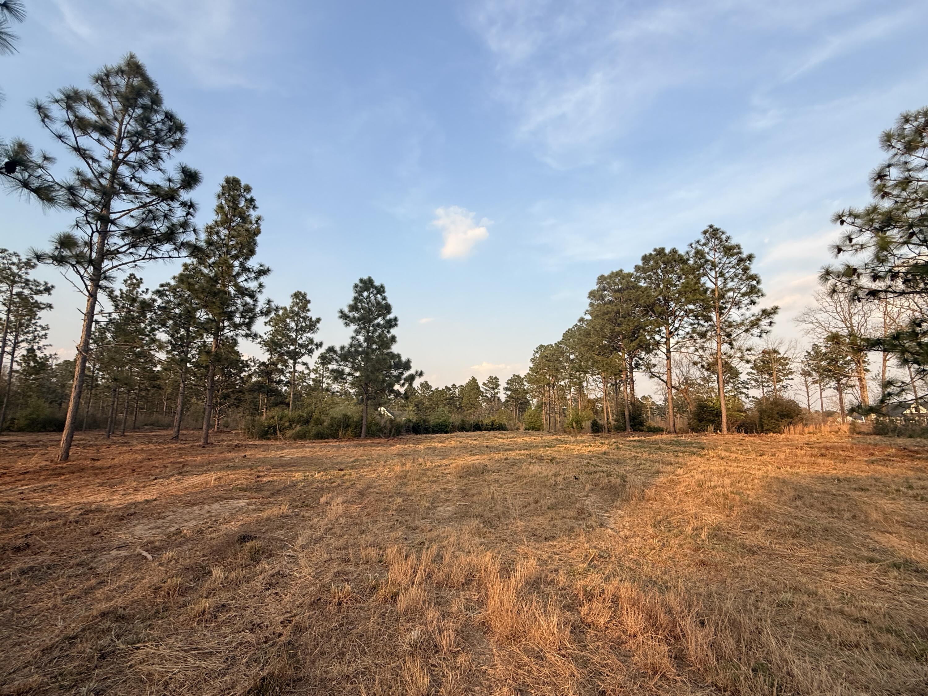 734 State Park Road Windsor, SC 29856 - Photo 1 of 12