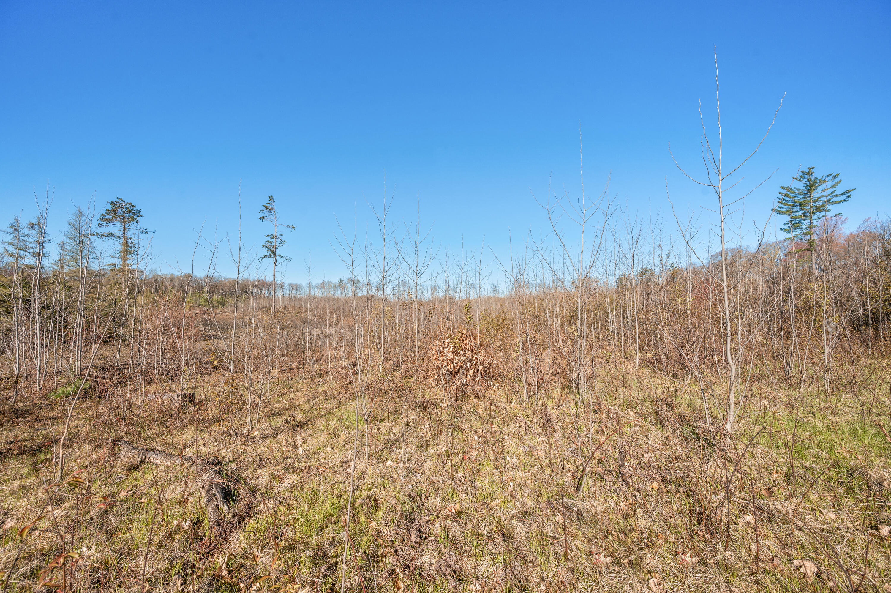 16107 12 Mile Road Leroy, MI 49655 - Photo 28 of 40 16107-12MileRd-Leroy-9