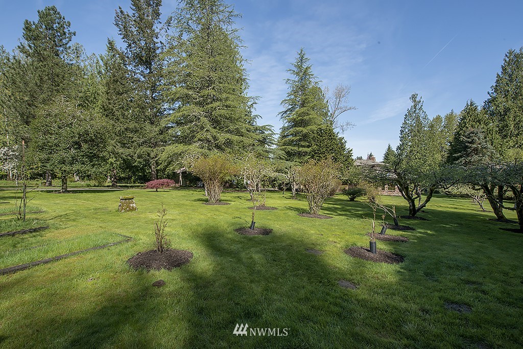 35202 Southeast David Powell Road Fall City, WA 98024 - Photo 17 of 20