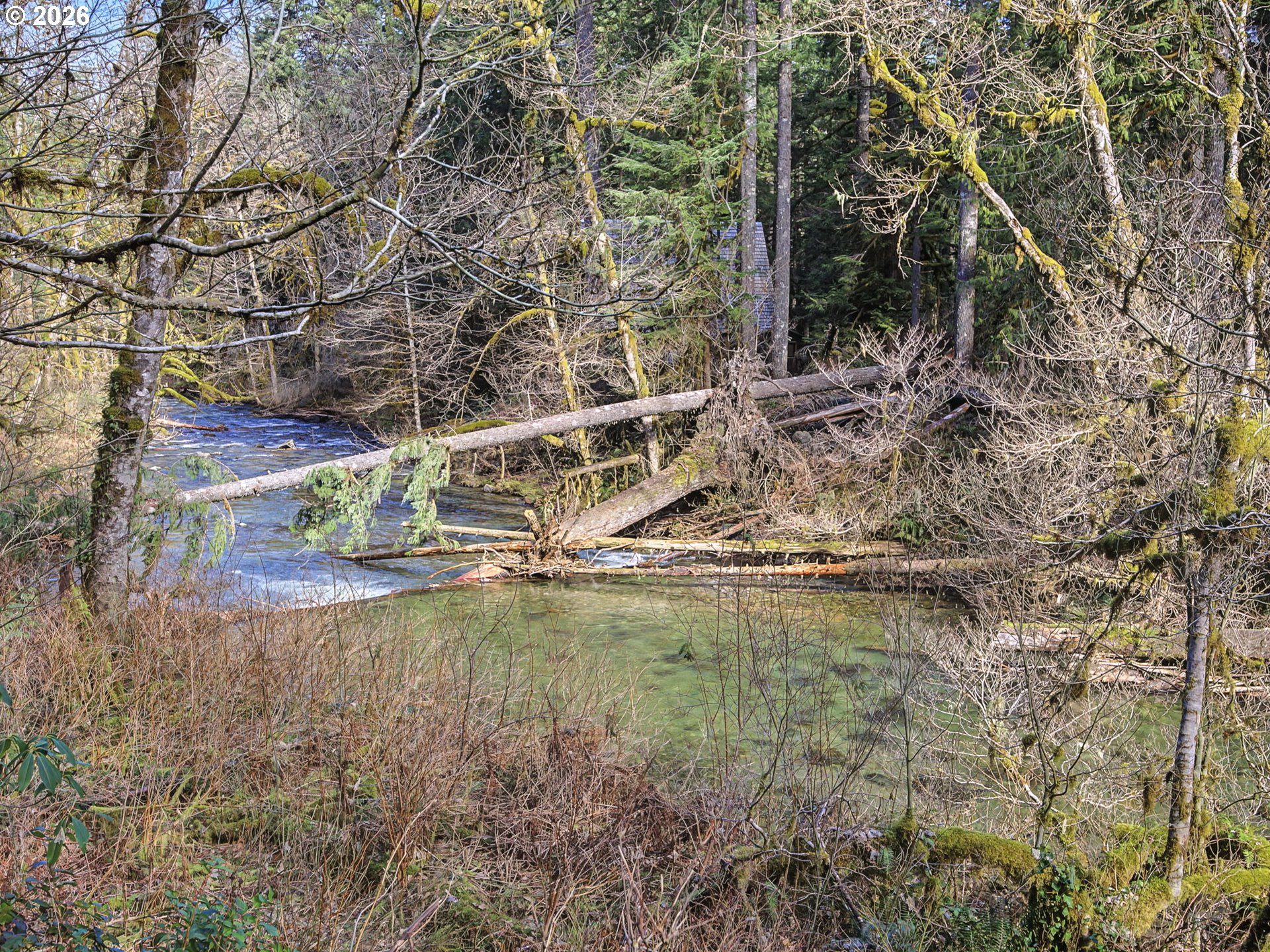 28910 Road 12 Rhododendron, OR 97049 - Photo 40 of 48 a backyard of a house with lots of green space