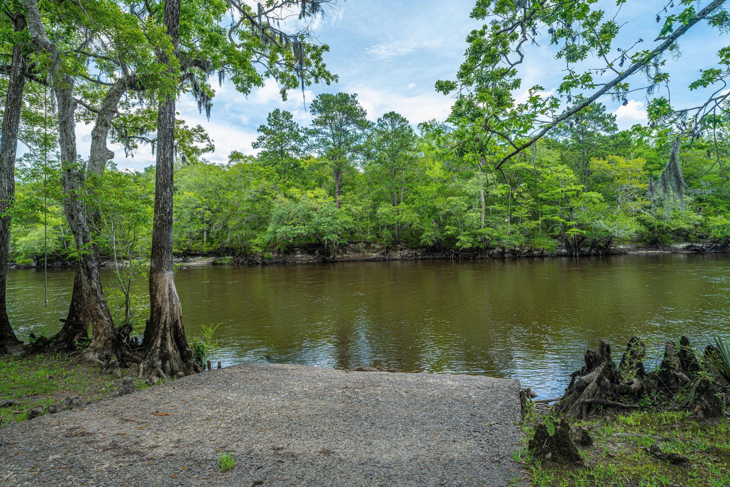 0 Hannibal Drive Ridgeville, SC 29472 - Photo 15 of 38 24