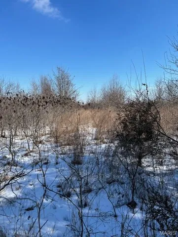 $75,000 | Lot 6 Parkview Farms, Blackwell, MO 63626