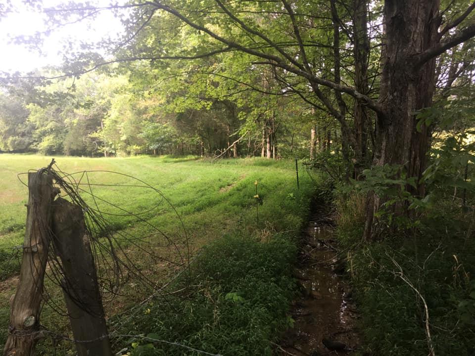 0 Albert Morgan Road Summer Shade, KY 42166 - Photo 13 of 23 Gallery Image 13
