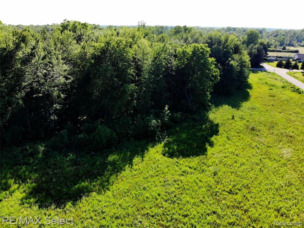 0 East Winegar Road Morrice, MI 48857 - Photo 2 of 37