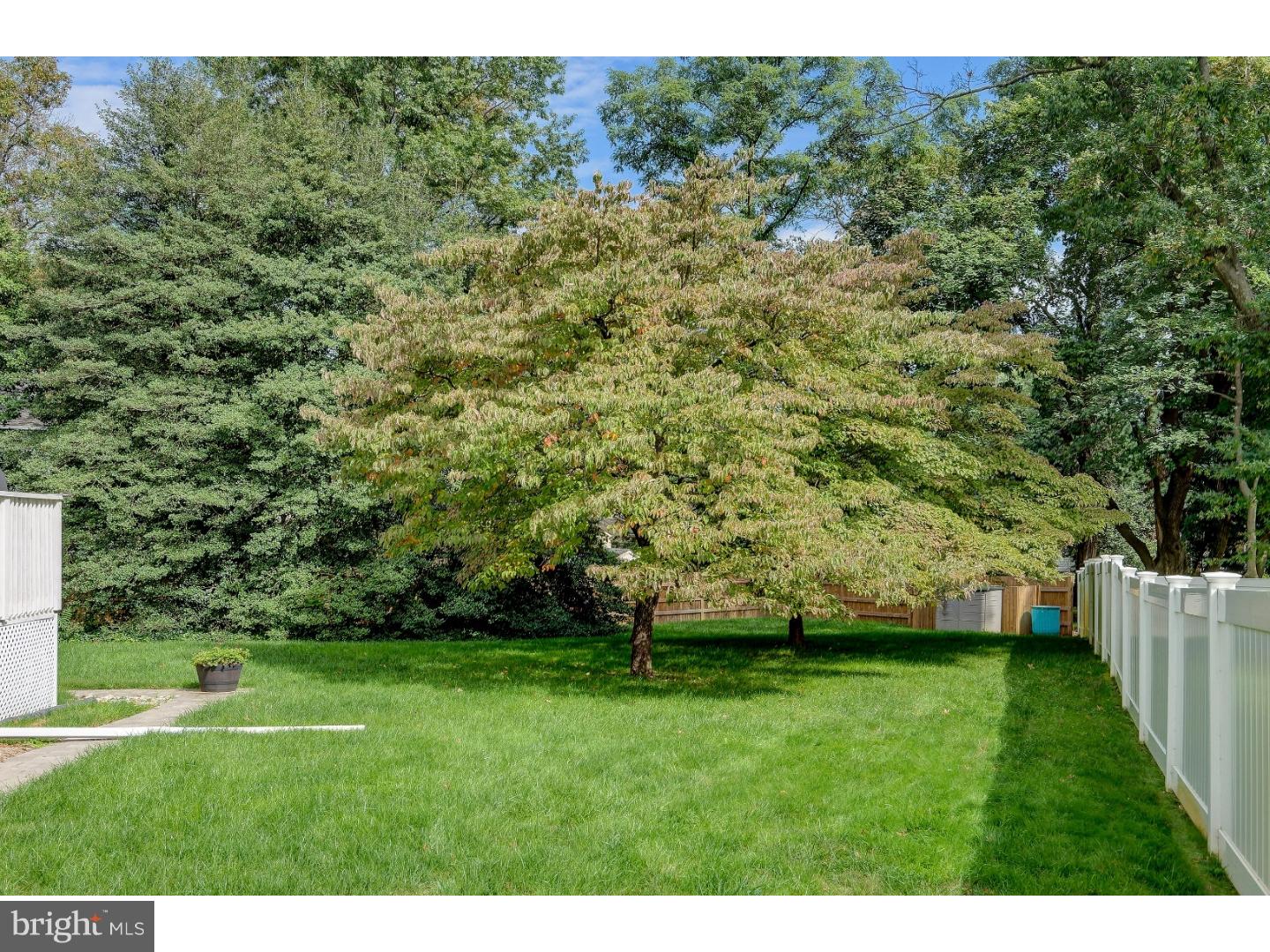259 Bewley Road Haddon Township, NJ 08033 - Photo 20 of 23