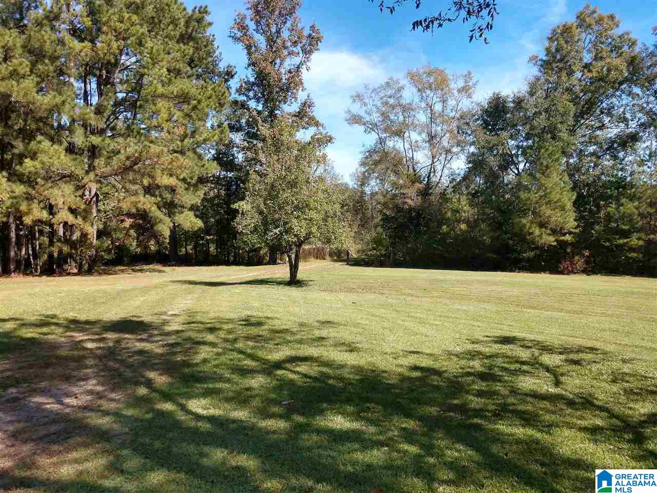 5403 County Road 41 Clanton, AL 35046 - Photo 5 of 12