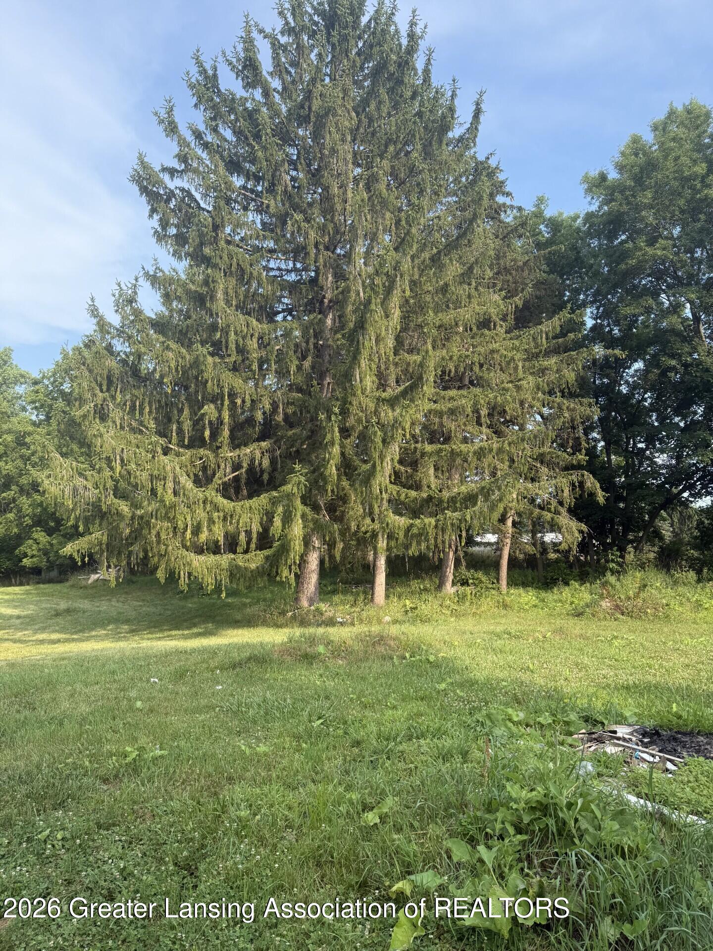 12470 South Wacousta Road Eagle, MI 48822 - Photo 6 of 19 majestic pines in back